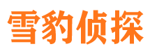 镇平市调查公司